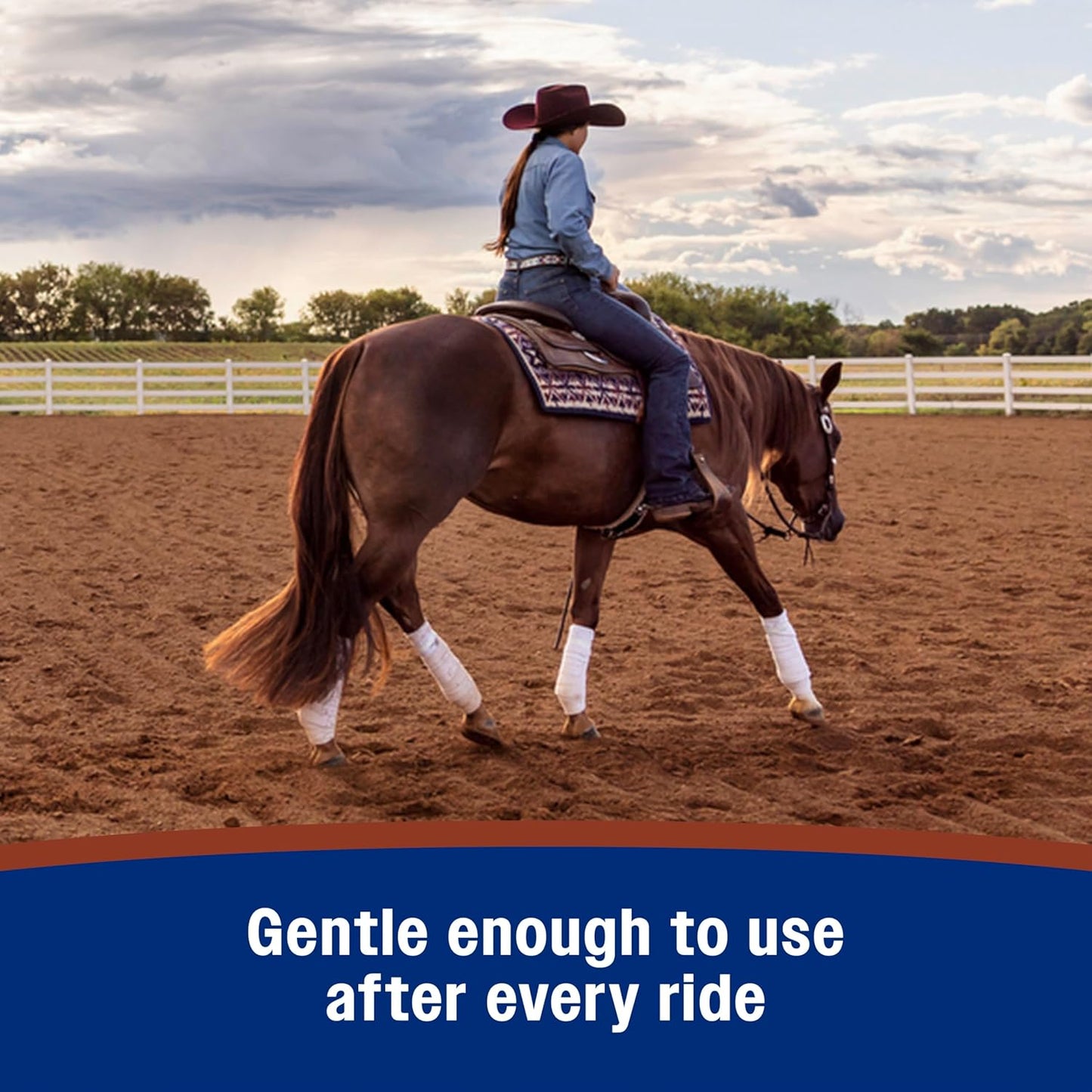 Leather New Easy-Polishing Glycerine Saddle Soap and Leather Cleaner, 32 Oz