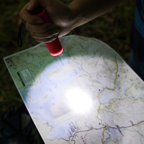 (12 Pack)  Single Mini LED Flashlight, 50 Lumens, Handheld, 3 AAA Batteries, Red